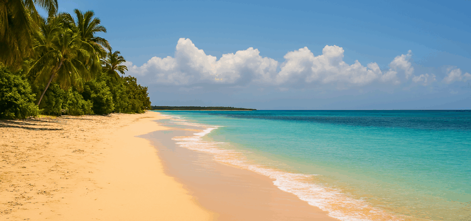 Golden sand beach in Watamu, Kenya, with turquoise waters, palm trees, and clear blue sky on a sunny tropical day.